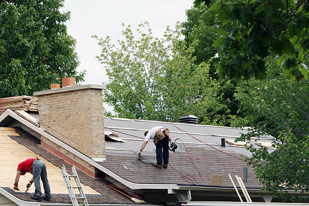 Best Roof Gutter Cleaning  in North Prairie, WI