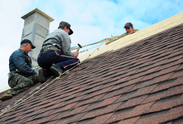 Best Shingle Roofing Installation  in North Prairie, WI